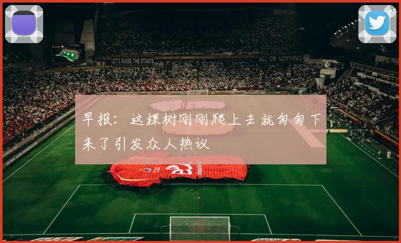 早报：这棵树刚刚爬上去就匆匆下来了引发众人热议